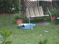 DSCN3291.JPG