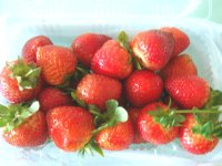DSC05751.jpg