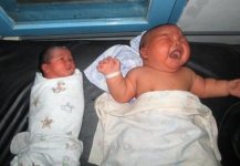 indobaby.jpg