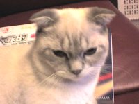 DSC00074.JPG