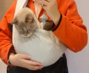 20-04-2010 18-07-09.jpg