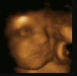 3Dbaby.jpg