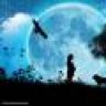 Moonlight