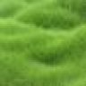 Hinhongkong